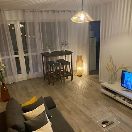 Apartment Elegance Et Classe Sur Axe Majeur Metz